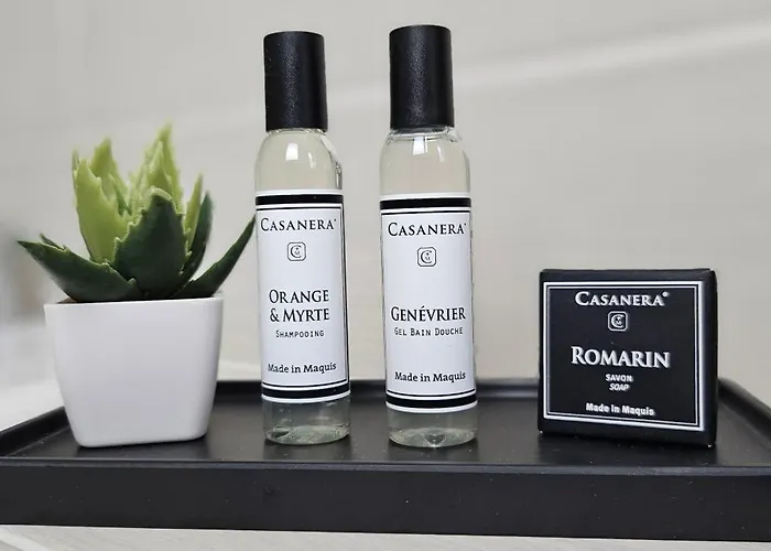 Dolce & B2 Avec Piscine Et Terrasse Propriano (Corsica)